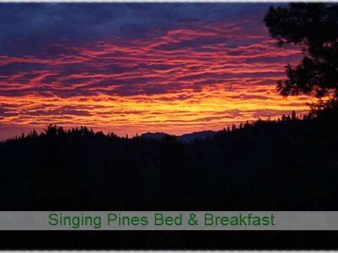 Singing Pines Bed & Breakfast