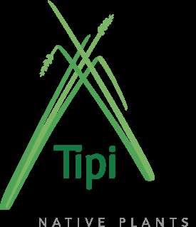 Tipi Mountain Native Plants Ltd